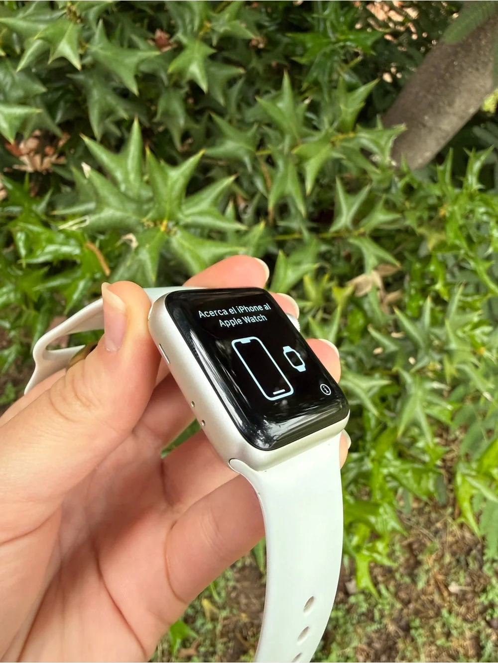 Apple Watch Series 3, 42mm- Silver